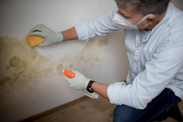 Water Damage Restoration in Millersburg, OH