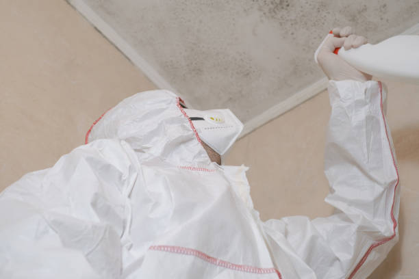 Best Water Damage Restoration  in Millersburg, OH